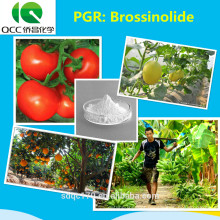 Natural Brassinolide 90% TC 0,1% SP PGR CAS 72962-43-7